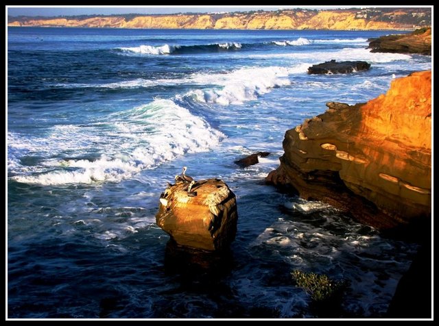Waves breaking against sea cliffs, pelicans on a rock